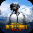 地铁逃生国际服pubg