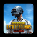 PUBGMOBILE国际服